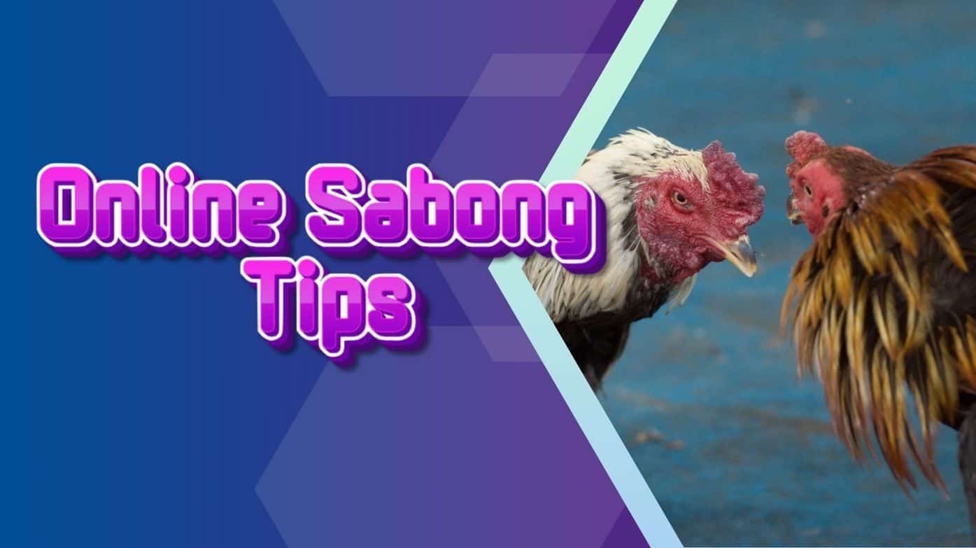Online Sabong Tips and Tricks