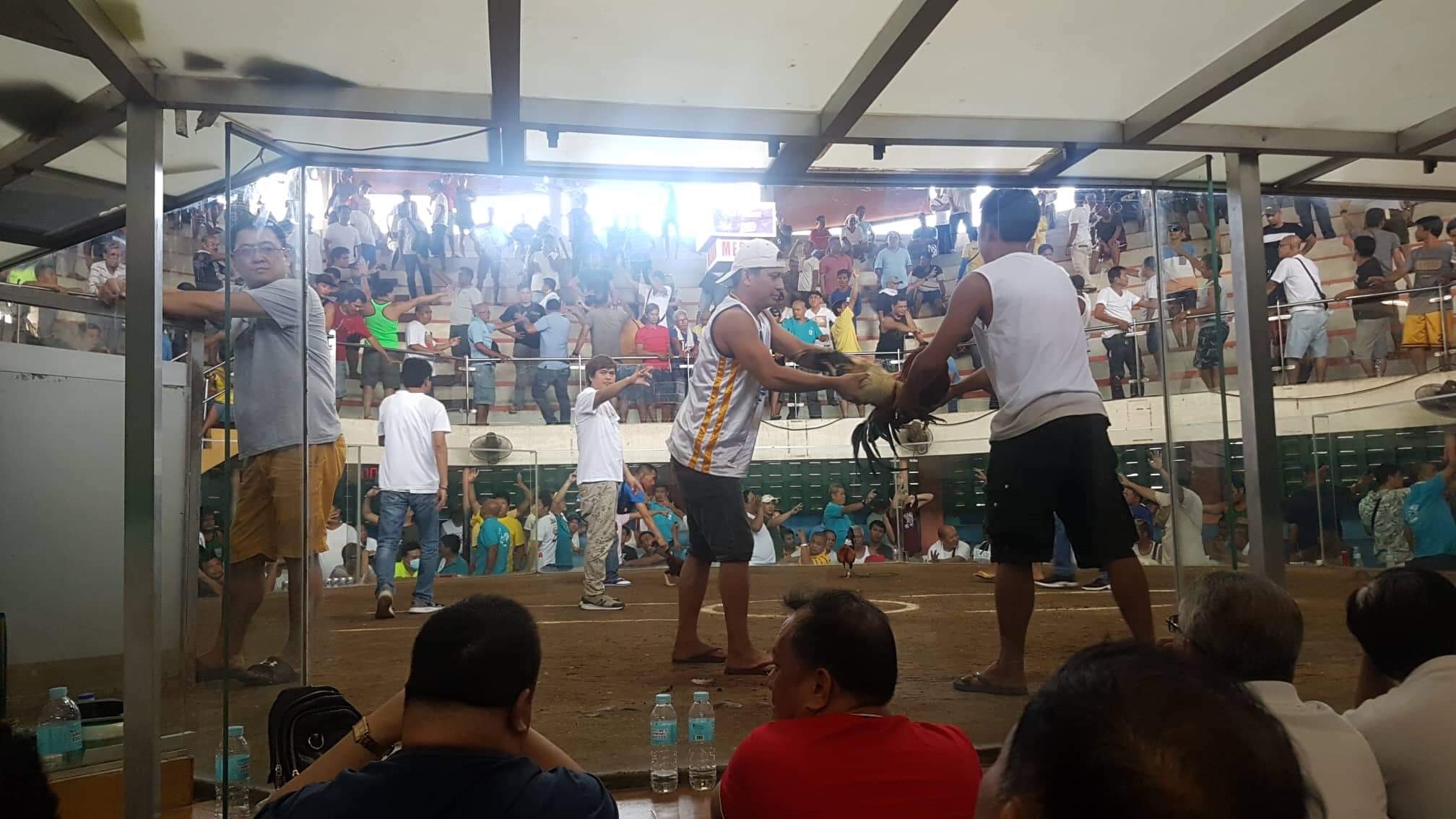 Sabong Community and Culture