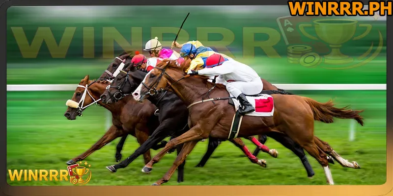 Horse racing betting