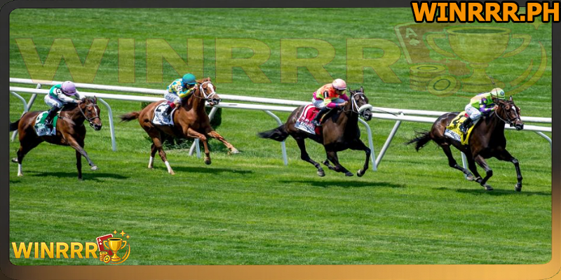 Horse racing betting