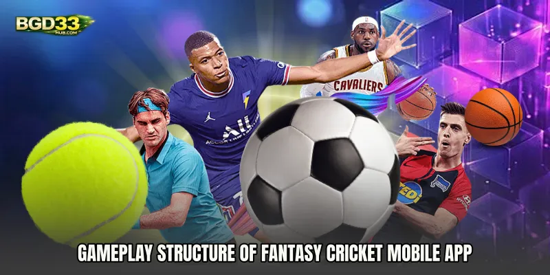 Gameplay Structure of Fantasy Cricket Mobile App